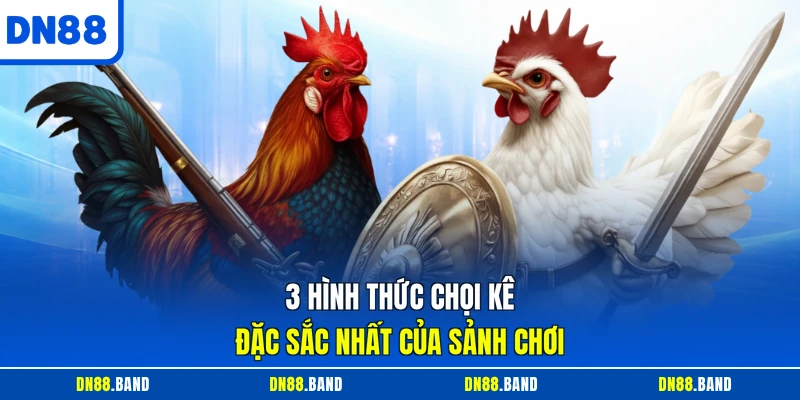 3 hình thức chọi kê đặc sắc nhất của sảnh chơi