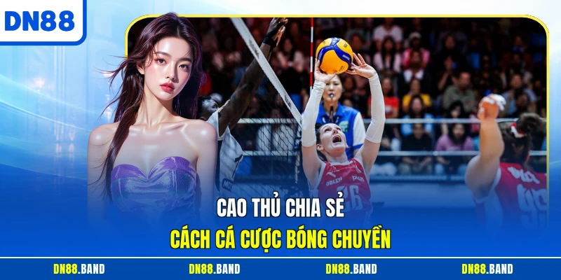 Cao thủ chia sẻ cách cá cược bóng chuyền
