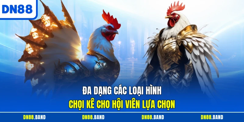 Đa dạng các loại hình chọi kê cho hội viên lựa chọn