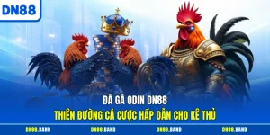 Đá Gà ODIN DN88 - Thiên Đường Cá Cược Hấp Dẫn Cho Kê Thủ
