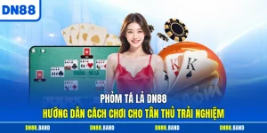 Phỏm Tá Lả DN88 Hướng Dẫn Cách Chơi Cho Tân Thủ Trải Nghiệm