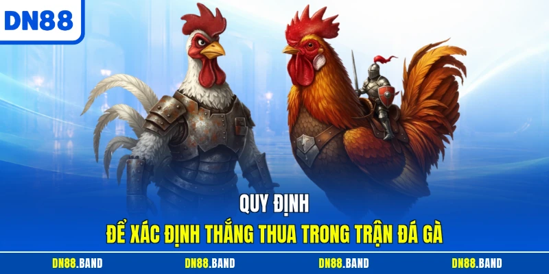 Quy định để xác định thắng thua trong trận đá gà